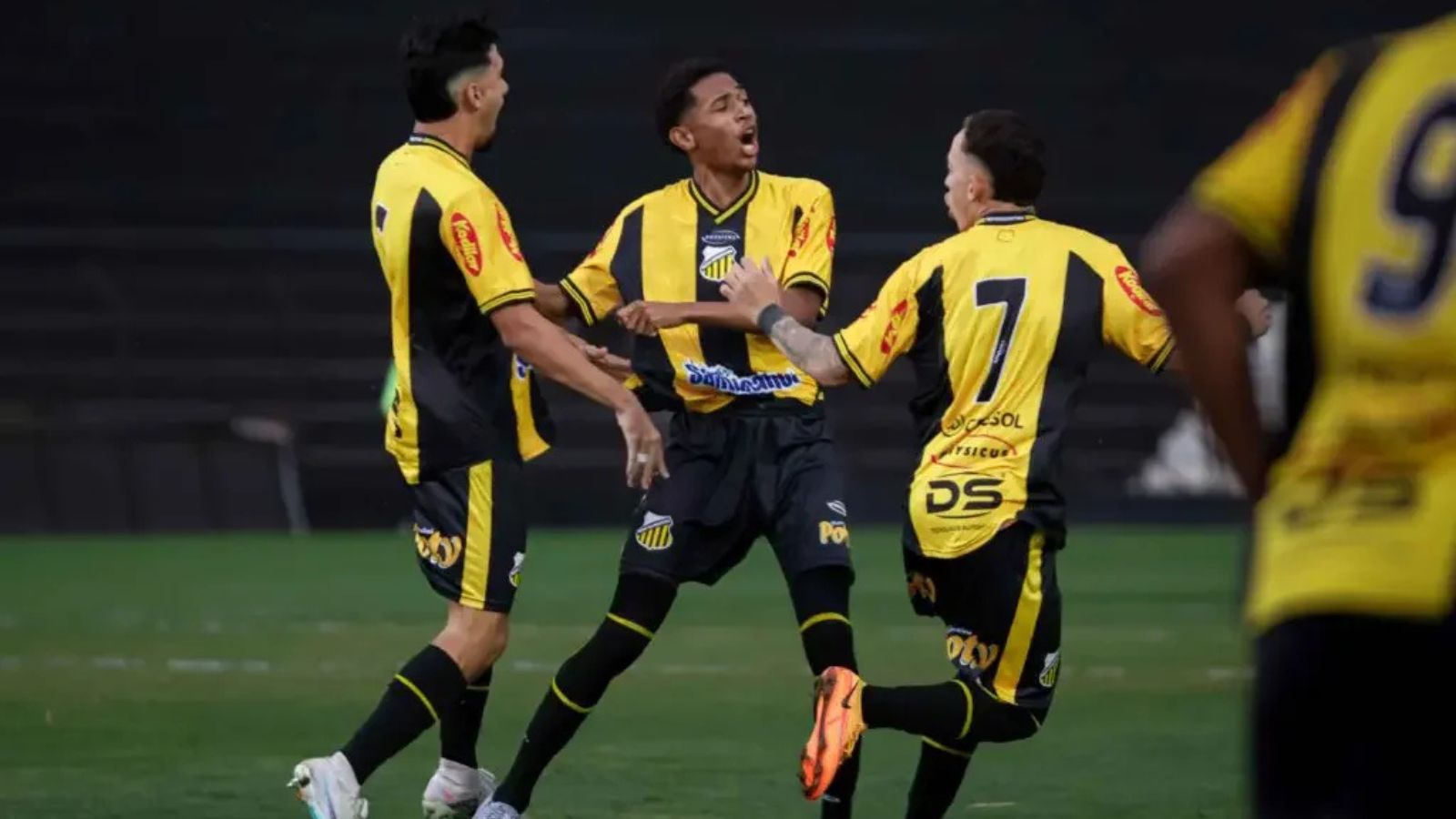 Foto: Higor Basso / Novorizontino