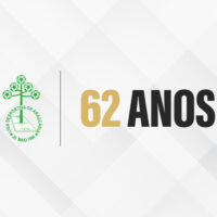 WS8 LIGA DE ARAUCC381RIA