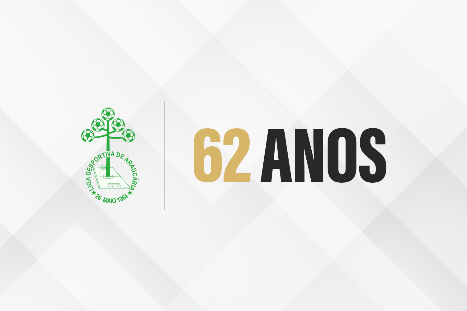 WS8 LIGA DE ARAUCC381RIA