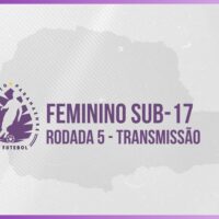 ARTE BASE P SITE FEMININO 2